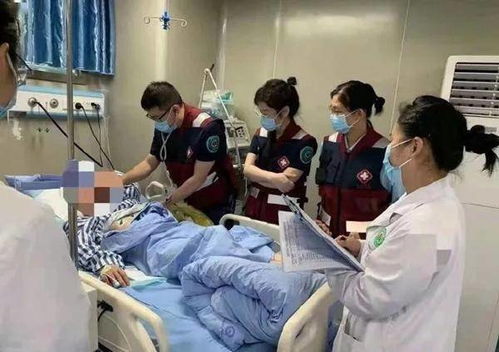 联播pro 一景区内两只老虎袭人外逃被击毙,细节公布