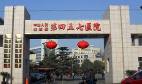 牛皮癣图片 价格与型号规格指南