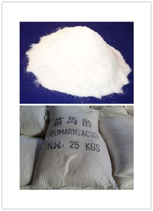 哈尔滨太明食品级富马酸价格指南与应用解析